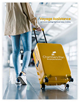 brochure cover