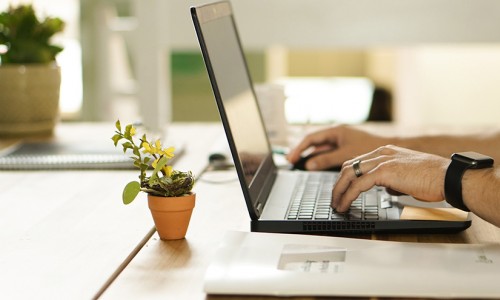 Why you should have plants at work. Really!